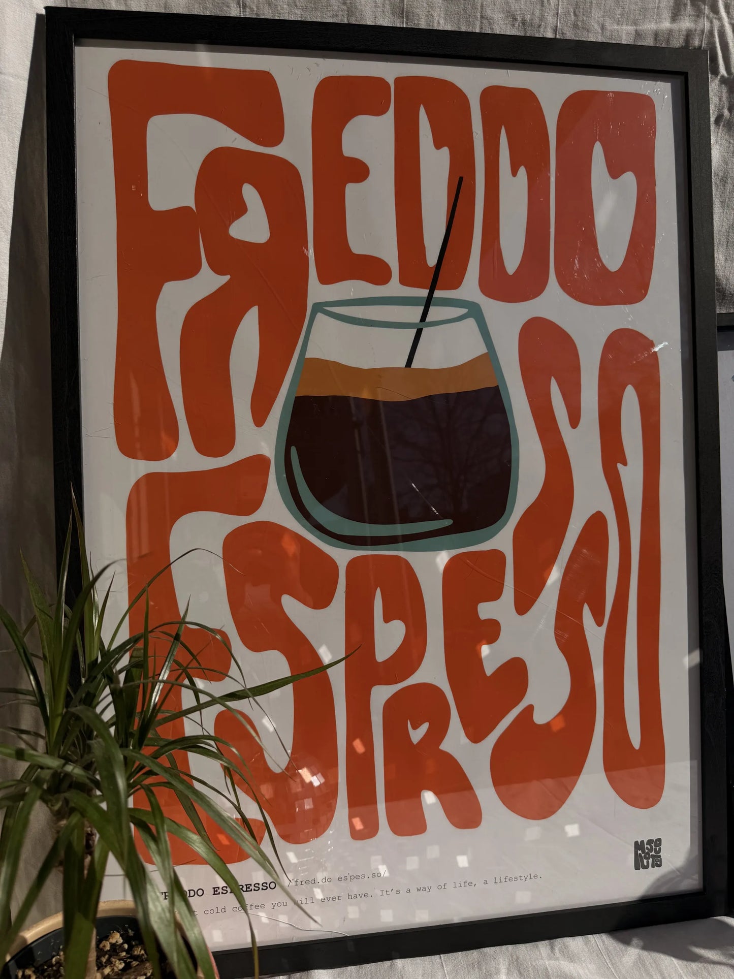 ·FREDDO ESPRESSO·